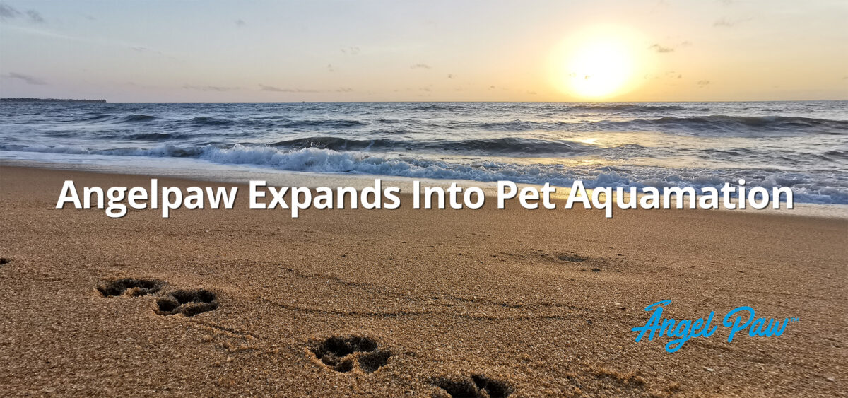 Angelpaw Expands into Pet Aquamation