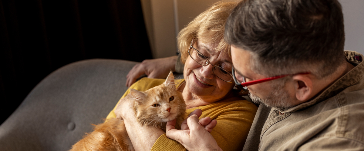 Strengthen your bond with your Senior Pet