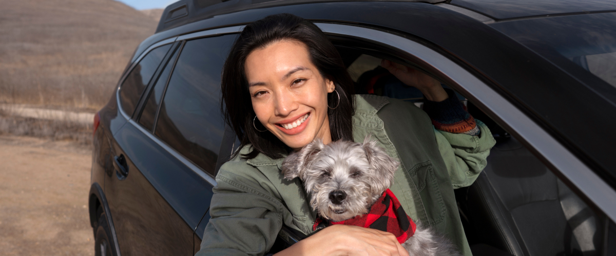 Safe car trips with senior pets