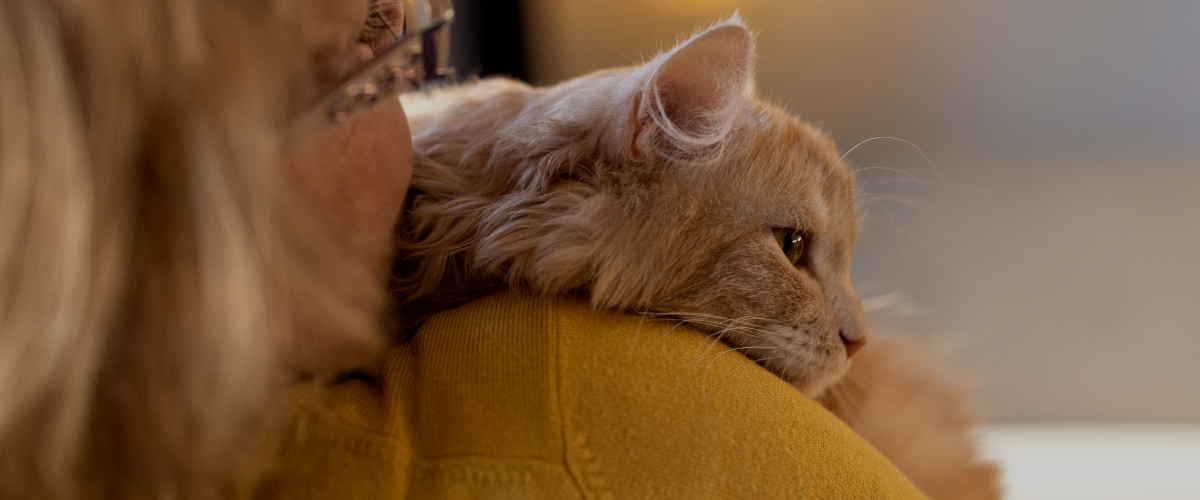 Ways to Strengthen Your Bond with Your Senior Pet